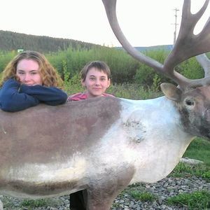 Meet your Posher, Alicia